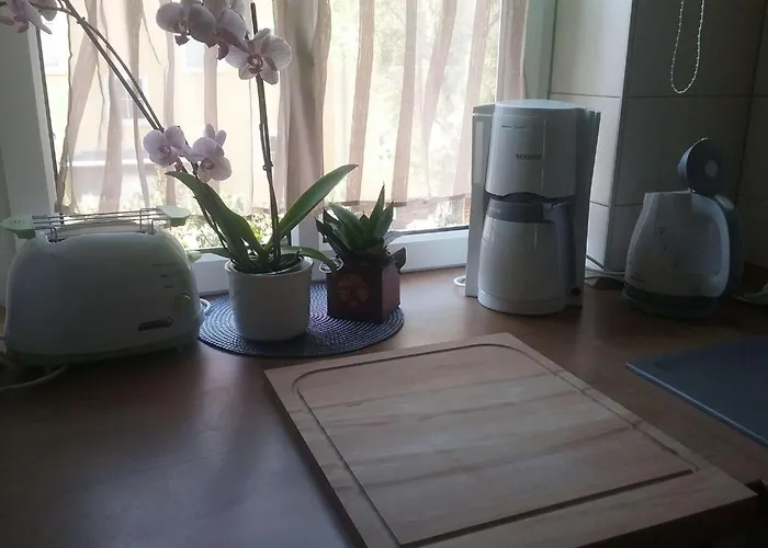 Kleine Gemuetliche Wohnung In Erfurt
