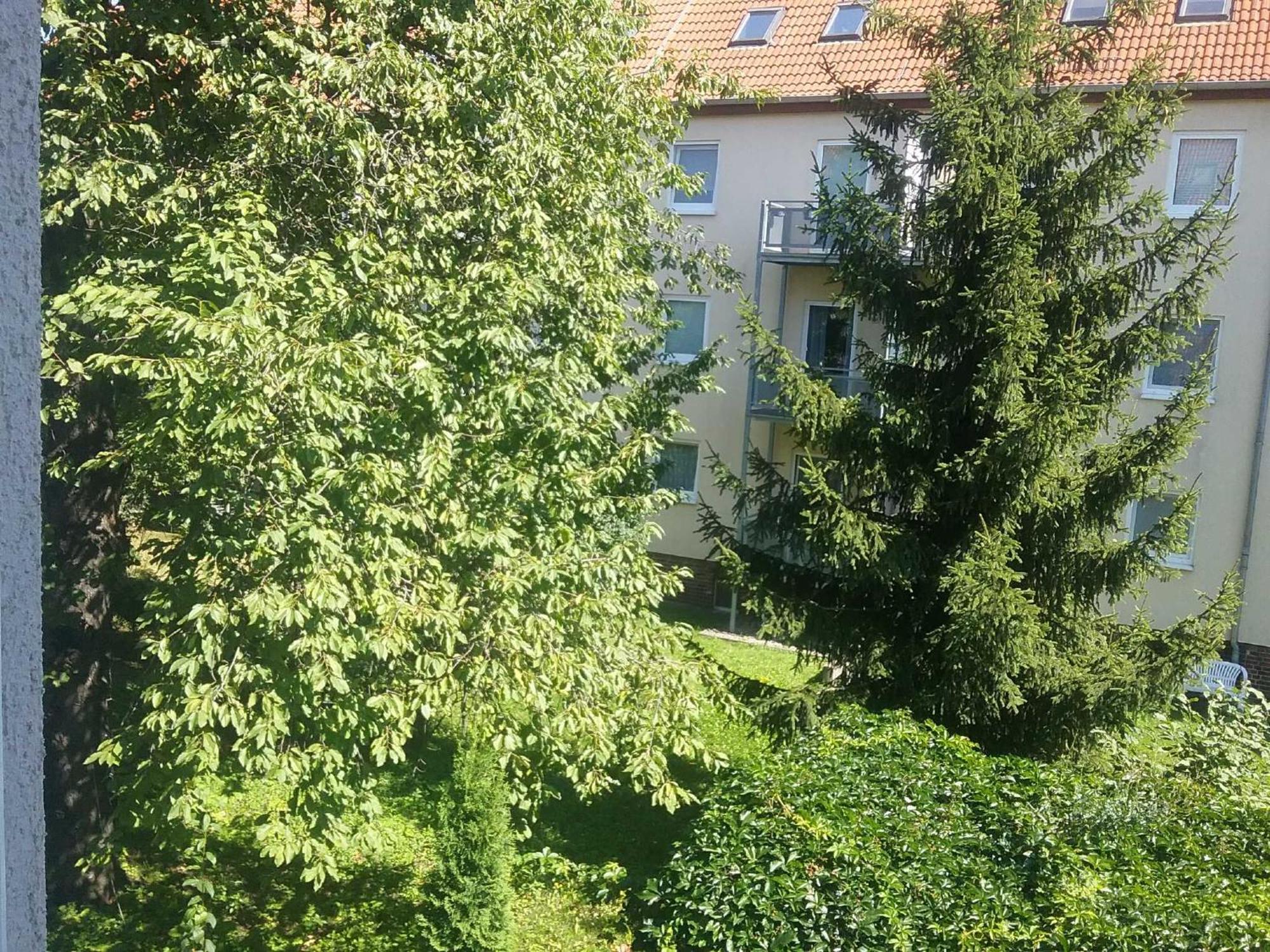 Kleine Gemuetliche In Apartment *